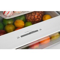 ZUGEL ZRFD361B Image #10