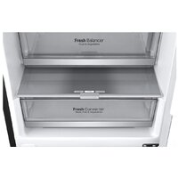 LG DoorCooling+ GA-B509SBUM Image #12