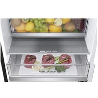 LG DoorCooling+ GA-B509SBUM Image #10