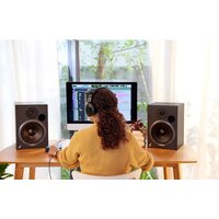 RODE NTH-100 (черный) Image #39