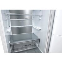 LG DoorCooling+ GA-B509MVQM Image #14