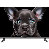 Topdevice 24" OS SALUTE TV (черный) Image #1
