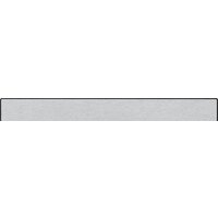 Bang & Olufsen Beosound Stage (антрацит) Image #2