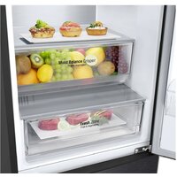 LG DoorCooling+ GA-B459CBTL Image #10