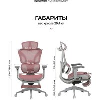 Evolution LX 3 Burgundy (розовый) Image #9