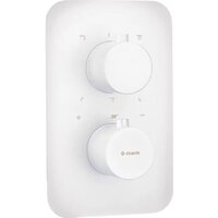 Deante Term Box BXY_AEBT