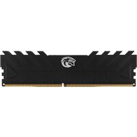 KingSpec Storm 16ГБ DDR4 3200 МГц KS3200D4M13516G