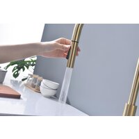 Paulmark Senso Se215180-SBG (золото/светлое брашированное золото) Image #8