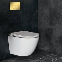 Roxen Antares Gold в комплекте с инсталляцией StounFix Dual Fresh 6 в 1 968092 (кнопка: золото глянцевое ) Image #10