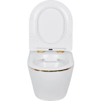 Roxen Antares Gold в комплекте с инсталляцией StounFix Dual Fresh 6 в 1 968092 (кнопка: золото глянцевое ) Image #6