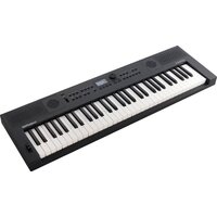Roland Go:Keys 5 (графит) Image #2
