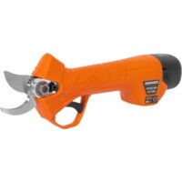 Daewoo Power DAGP 2516Li (с 1-им АКБ)