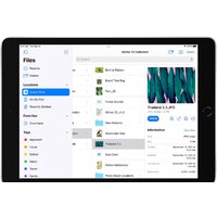 Apple iPad 10.2" 2021 64GB 5G MK473 (серый космос) Image #5