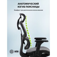 CACTUS CS-MC555-GY (черный/серый) Image #10