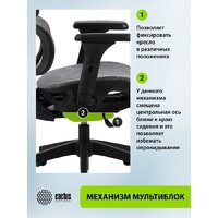 CACTUS CS-MC555-GY (черный/серый) Image #11