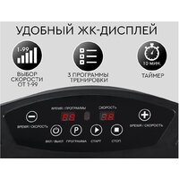 Planta VP-05 Image #4