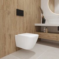 Lauter Nuremberg 21811 + 21901001 (белый, с кнопкой смыва 219704J черный) Image #22