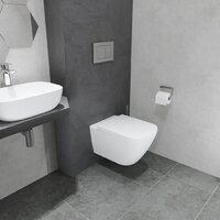 Lauter Nuremberg 21811 + 21901001 (белый, с кнопкой смыва 219704J черный) Image #11