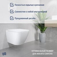 Lauter Nuremberg 21811 + 21901001 (белый, с кнопкой смыва 219704J черный) Image #6