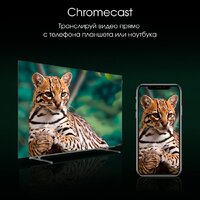 Digma Pro OLED 65M Image #11