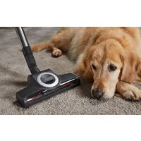 Miele Blizzard CX1 Cat & Dog PowerLine SKCF3 Image #6
