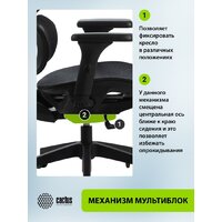 CACTUS CS-MC555-BK (черный) Image #10