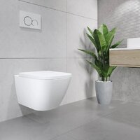 Lauter Nuremberg 21811 + 21901002 (белый, с кнопкой смыва 219701J хром) Image #15