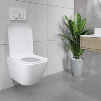 Lauter Nuremberg 21811 + 21901002 (белый, с кнопкой смыва 219701J хром) Image #19