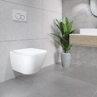 Lauter Nuremberg 21811 + 21901002 (белый, с кнопкой смыва 219701J хром) Image #18