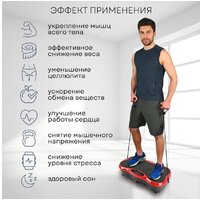 Planta VP-03 Image #5