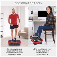 Planta VP-03 Image #7