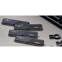 G.Skill Ripjaws S5 2x16ГБ DDR5 6000 МГц F5-6000J2836G16GX2-RS5K Image #5