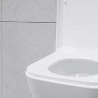 Lauter Nuremberg 21811 + 21901001 (белый, с кнопкой смыва 219701J хром) Image #29