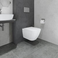 Lauter Nuremberg 21811 + 21901001 (белый, с кнопкой смыва 219701J хром) Image #26