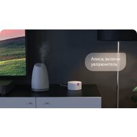 Яндекс Станция Мини (черный) + розетка Яндекс Image #15