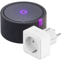 Яндекс Станция Мини (черный) + розетка Яндекс