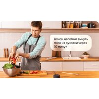 Яндекс Станция Мини (черный) + розетка Яндекс Image #10