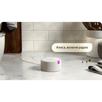 Яндекс Станция Мини (черный) + розетка Яндекс Image #12