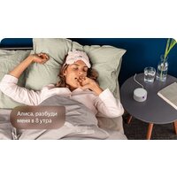 Яндекс Станция Мини (черный) + розетка Яндекс Image #16