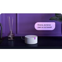 Яндекс Станция Мини (черный) + розетка Яндекс Image #14