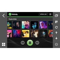 Pioneer DMH-A6650BT Image #4