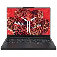 Lenovo Legion R9000P ADR10 83LV0006CD 16 ГБ