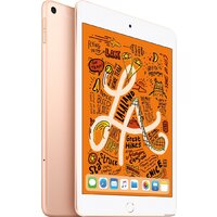 Apple iPad mini 2019 256GB LTE MUXE2 (золотой) Image #2