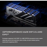 Apacer Panther 2x16ГБ DDR5 6000 МГц AH5U32G60C6227BAA-2 Image #9