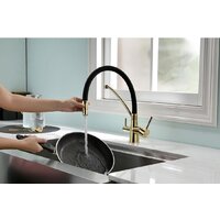 Paulmark Siegen Si213111-G Image #5