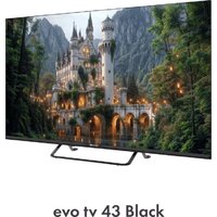 Evo TV 43 Black TD0051752RU Image #10