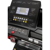 Alpin Laufen Image #11