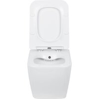 Roxen Cube bidet в комплекте с инсталляцией StounFix Dual Fresh 6 в 1 966246 (кнопка: бежевый) Image #6