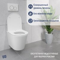 Lauter Longer 2110822 с кнопкой 219703E (круглая, сатин) Image #6