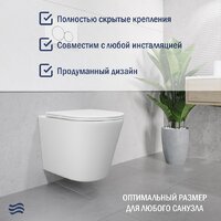 Lauter Longer 2110822 с кнопкой 219703E (круглая, сатин) Image #7